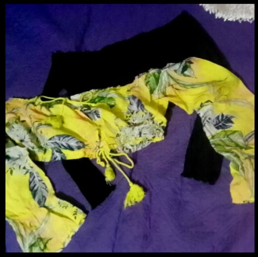 Summer Crop Bundle